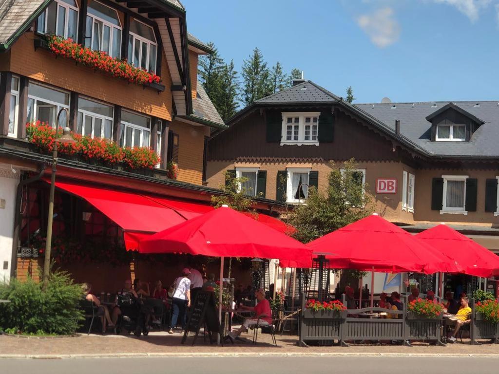 Hotel Schwarzwaldhof Хинтерцартен Экстерьер фото