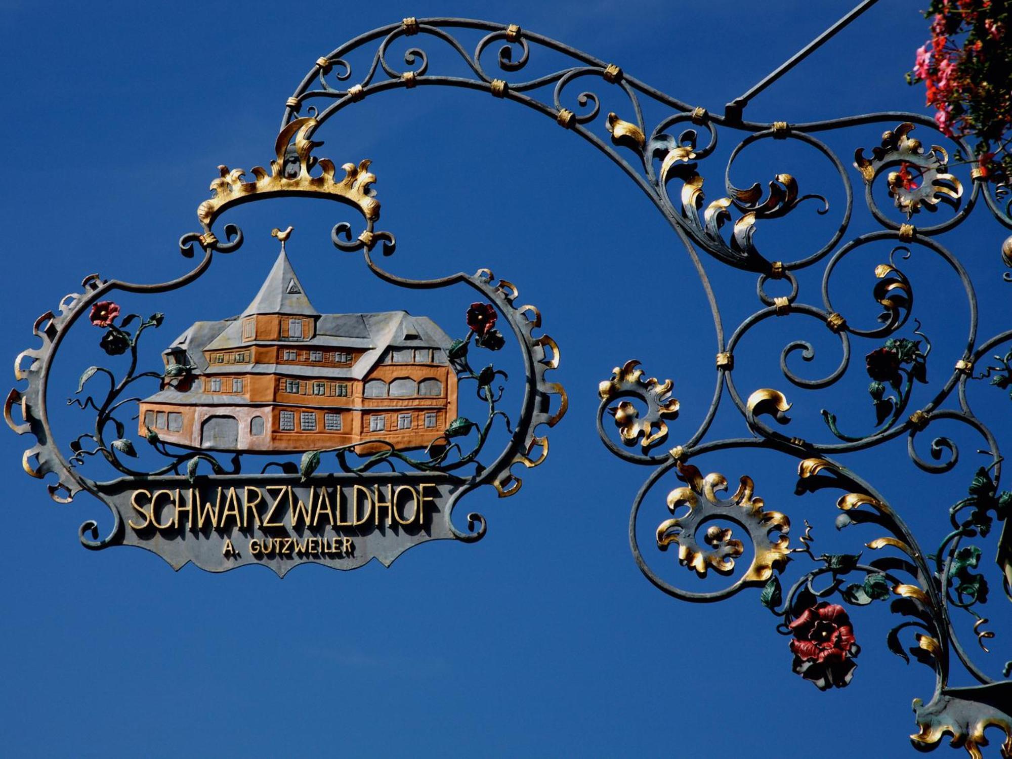 Hotel Schwarzwaldhof Хинтерцартен Экстерьер фото