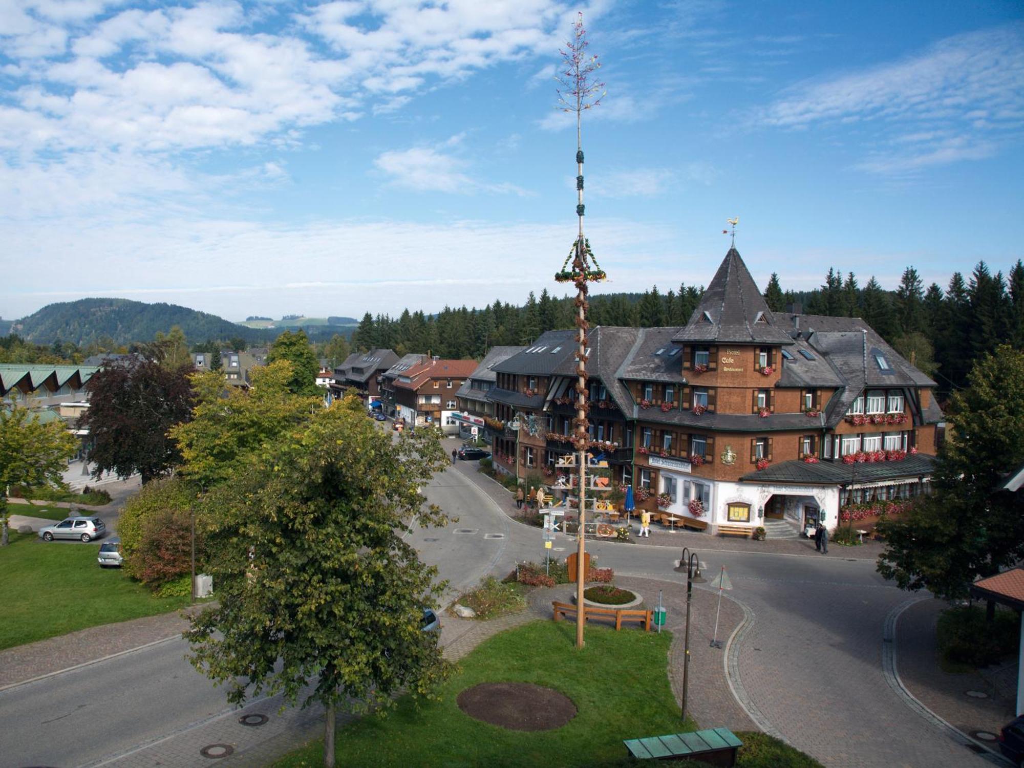 Hotel Schwarzwaldhof Хинтерцартен Экстерьер фото