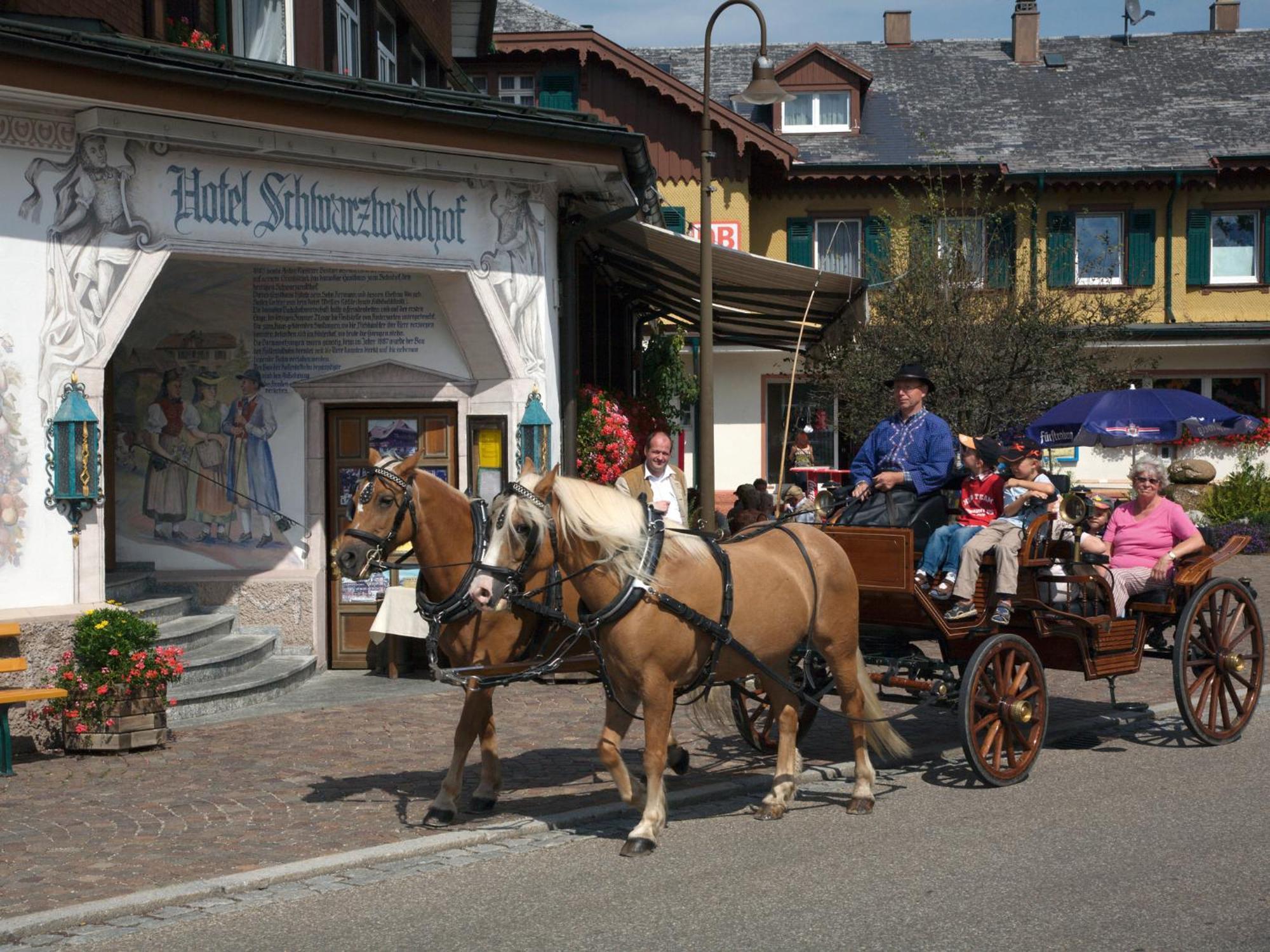 Hotel Schwarzwaldhof Хинтерцартен Экстерьер фото